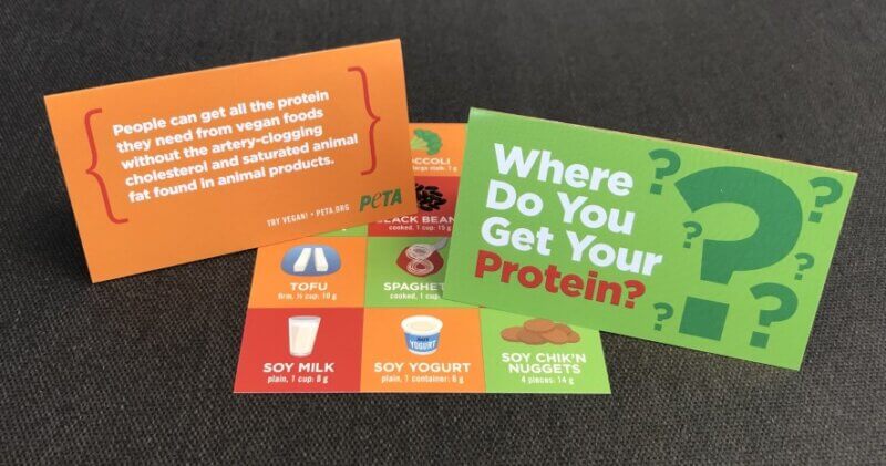 Where Do You Get Your Protein Card All Sides Visible