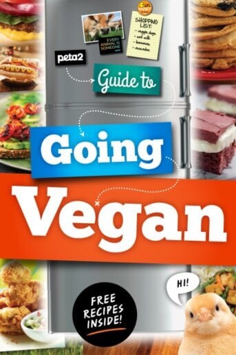 Guide to Going Vegan