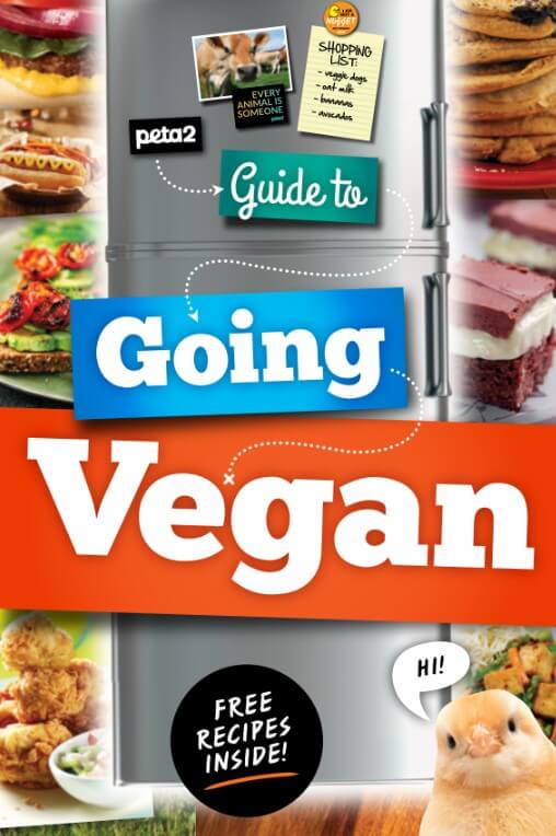 Guide to Going Vegan