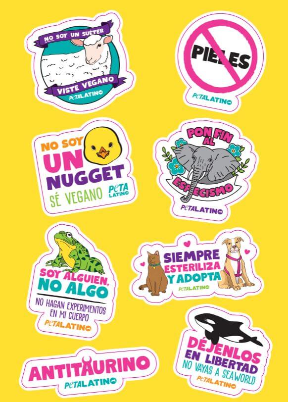 Spanish Sticker Sheet