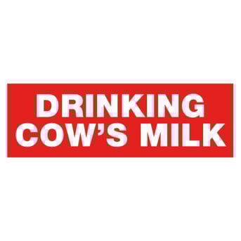 Drinking Cow's Milk Sticker