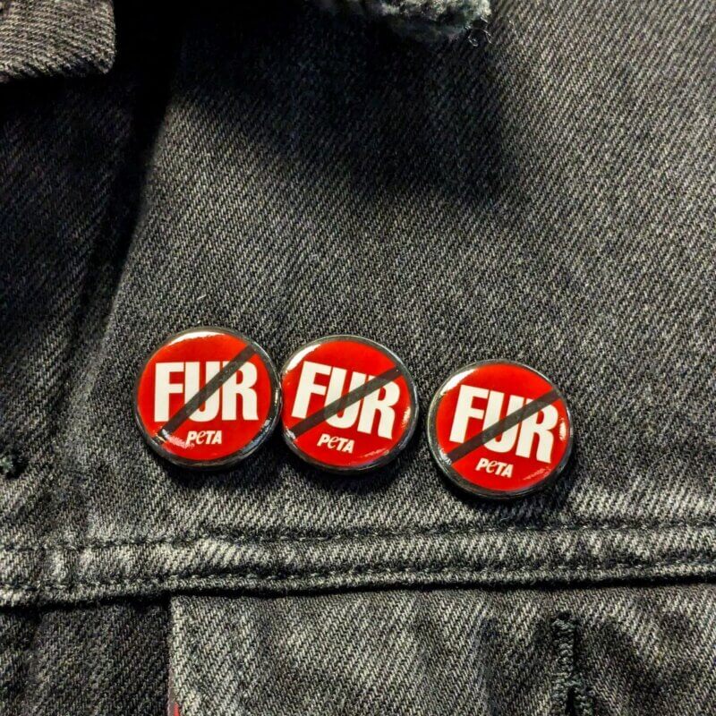 Three No Fur Buttons on Jacket
