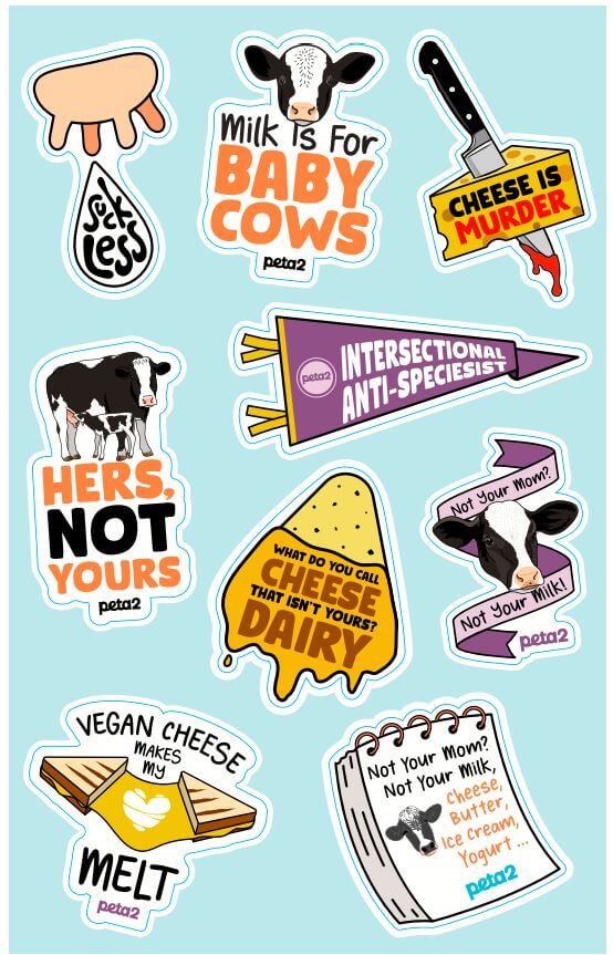 Dairy sticker sheet
