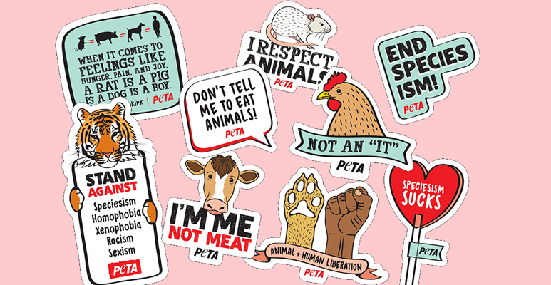 End Speciesism sticker pack