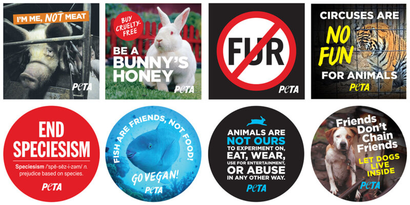 Animal Rights Stickers