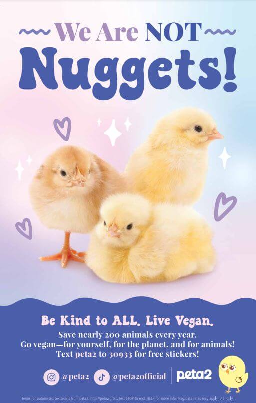 PETA2 Nugget Poster