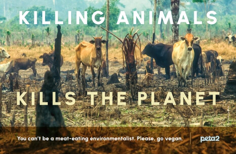 peta2 environmental leaflet