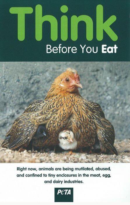 Think Before You Eat Leaflet