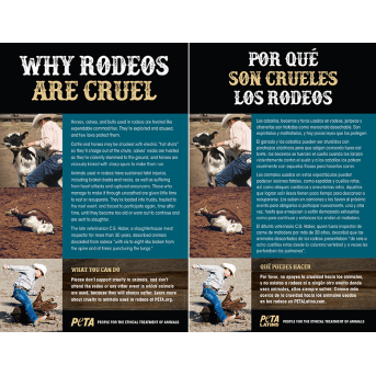 why rodeos are cruel