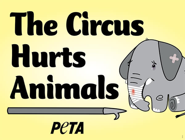 the circus hurts animals