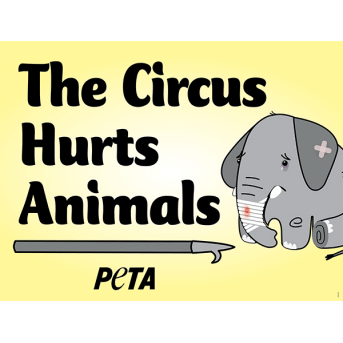 the circus hurts animals