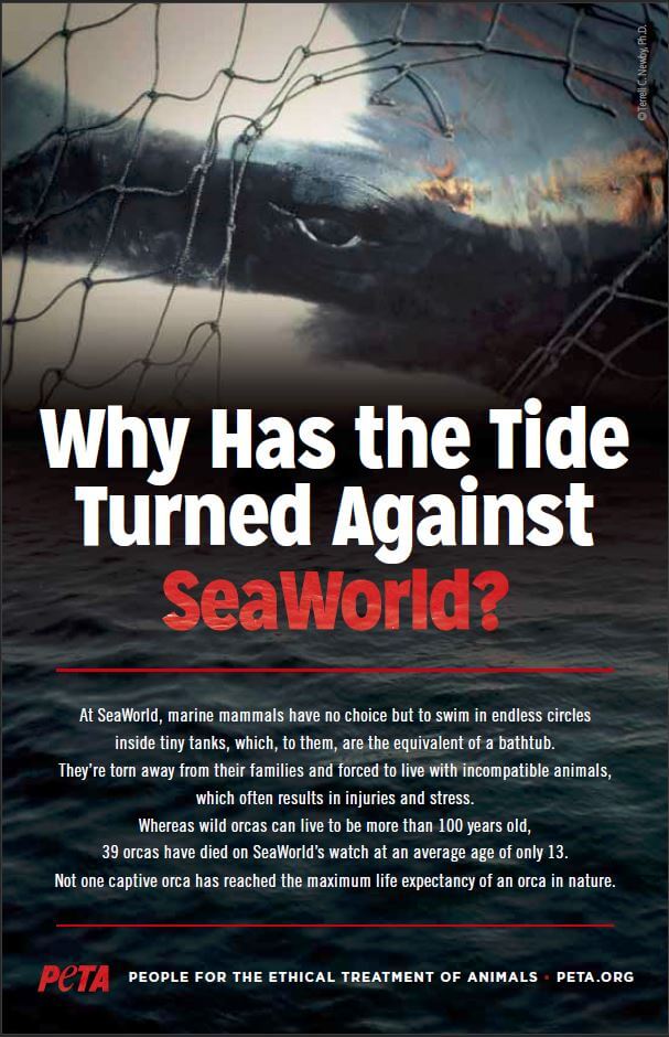 why has the tide turned against seaworld