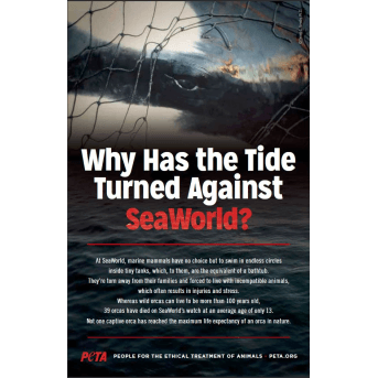 why has the tide turned against seaworld