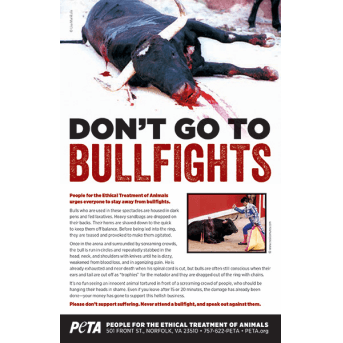 dont go to bullfights