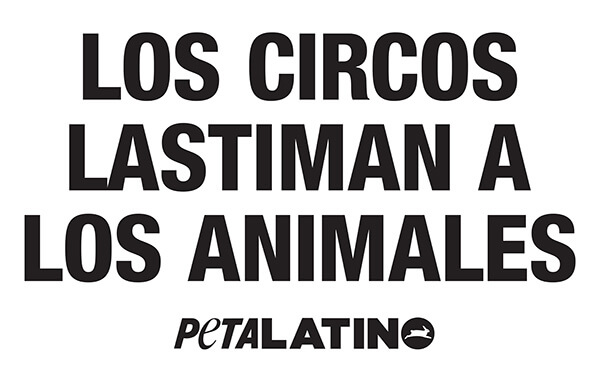 los circos lastiman a los animales