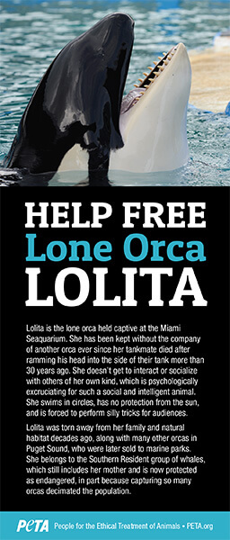 Help Free Lone Orca Lolita