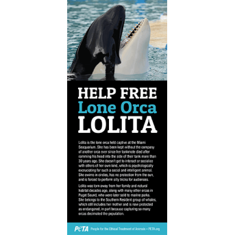 Help Free Lone Orca Lolita