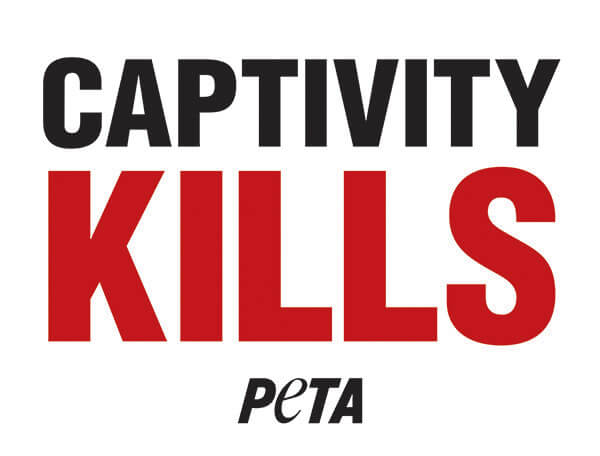 captivity kills