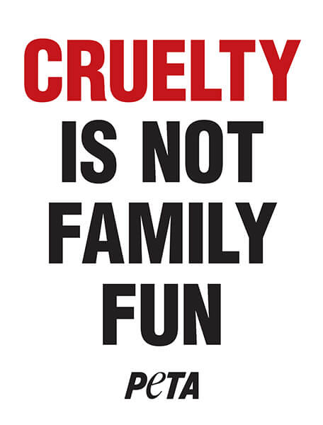 cruelty is not family fun