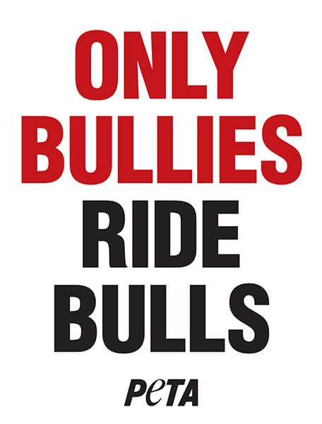 only bullies ride bulls