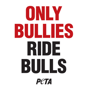 only bullies ride bulls