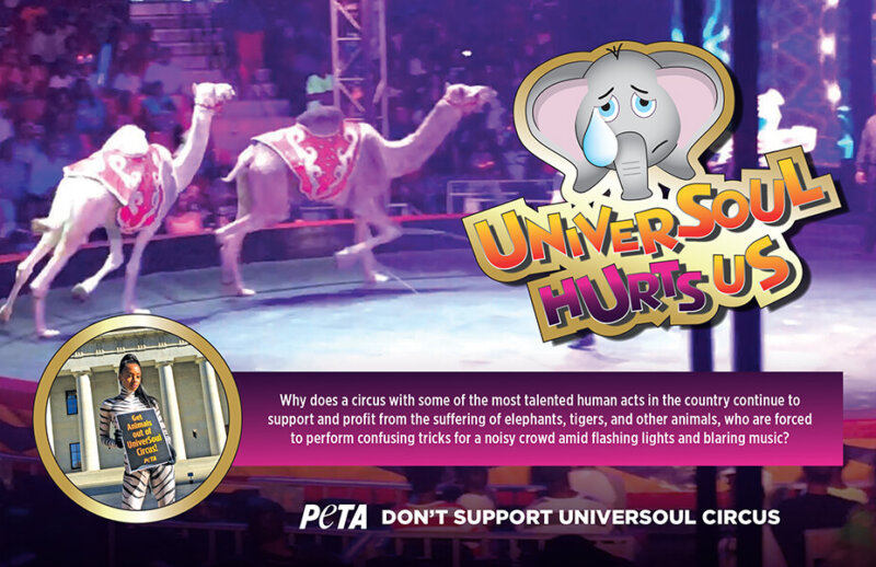 UniverSoul Hurts Us