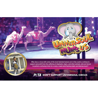 UniverSoul Hurts Us