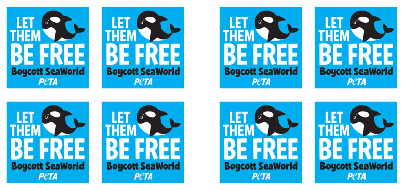 Let Them Be Free Boycott Seaworld