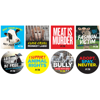 Animal Rights Stickers
