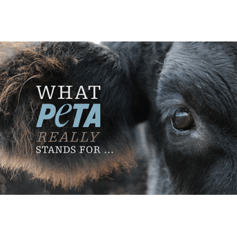 What PETA Really Stands For