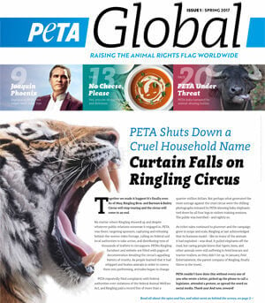 PETA Global