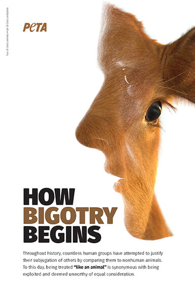 How Bigotry Begins