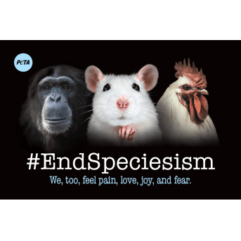 #EndSpeciesism