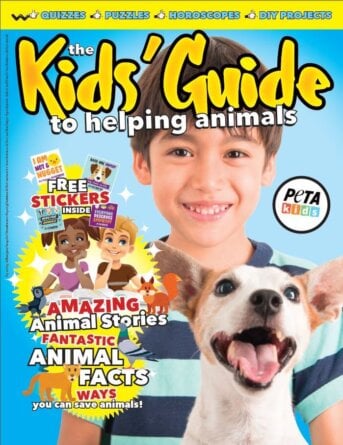 kids guide