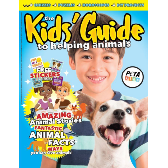 kids guide