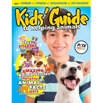 kids guide