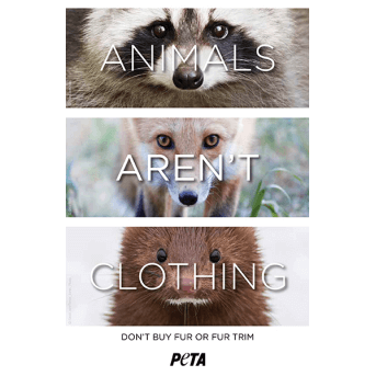 animals arent clothing