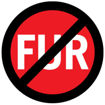 No Fur