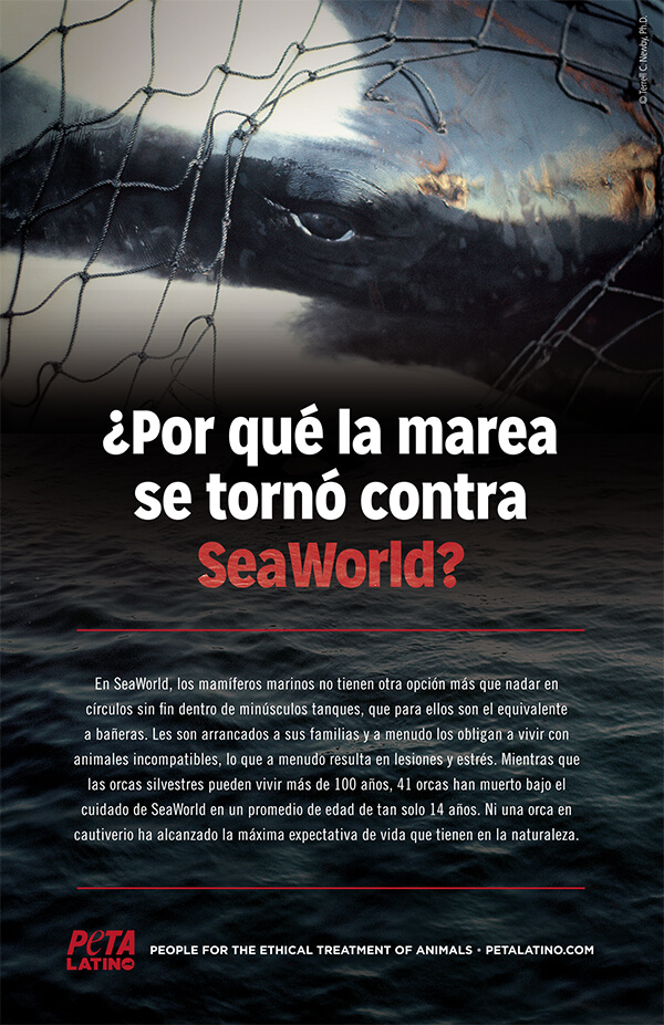 Por que la marea se torno contra SeaWorld