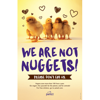 we are not nuggets
