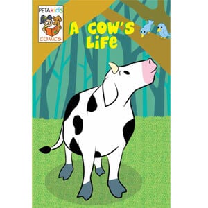 a cows life