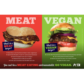 meat vs vegan