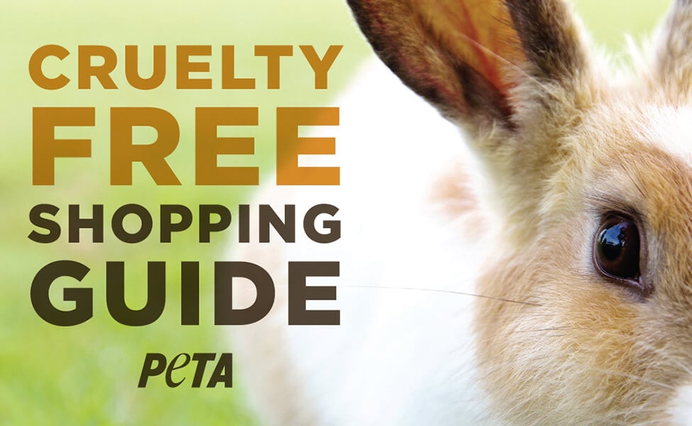 Animal Testing Breaks Hearts Pocket Shopping Guide | PETA Literature