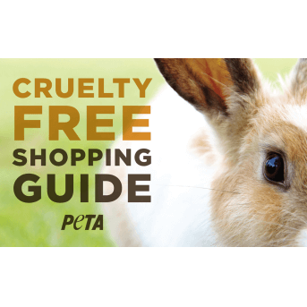cruelty free shopping guide