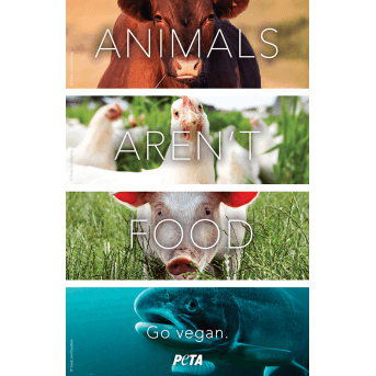 animals arent food