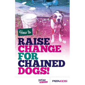 How to raise change for chained dogs