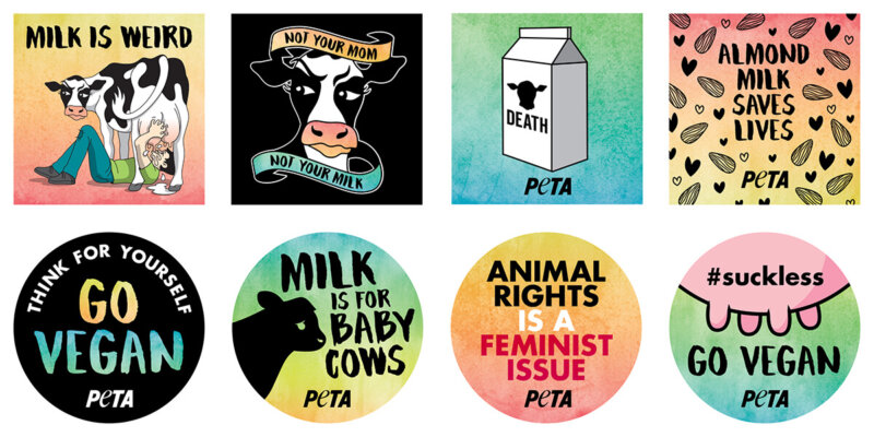 Go Vegan Stickers