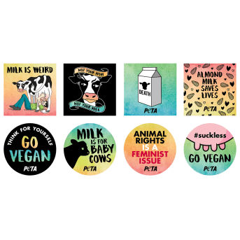 Go Vegan Stickers