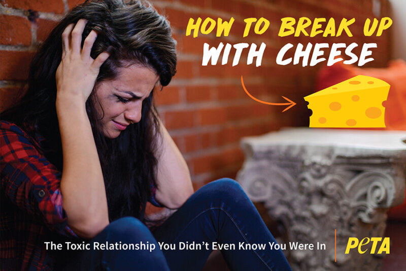 How to Break Up with Cheese