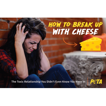 How to Break Up with Cheese
